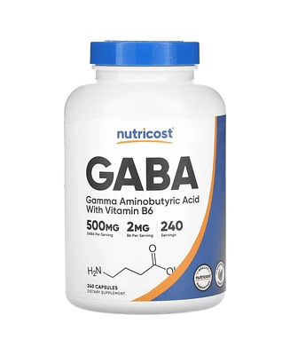 Nutricost Gaba With Vitamin B6 500 mg