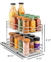 Florida Brands Pull Out Cabinet Organizer for Spices, Cans 2 Tier
