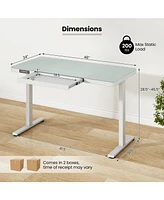 Gouun 48-Inch Height Adjustable Electric Standing Desk with Drawer