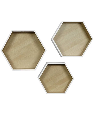 Sorbus Set of 3 Floating Shelf Hexagon Set - Honeycomb Decorative Hanging Display for Collectibles, Photos Frames, Plants, and more (White