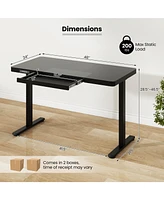 Gouun 48-Inch Height Adjustable Electric Standing Desk with Drawer