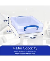 Really Useful Box 4L Storage Container with Lid and Clip Lock Handles, (10 Pack)