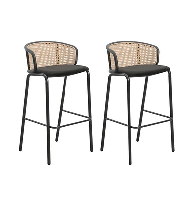 LeisureMod Seat and Black Powder Coated Steel Frame, Set of 2