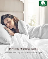 Stripe Sheet Set Twin Xl, Soft 100% Cotton Sateen, 3 Pc Deep Pocket Bedding Sheets & Pillowcase - Classic