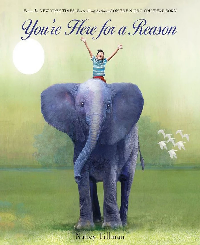 You're Here for a Reason by Nancy Tillman