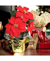 Floral Home 9.5" Diameter Artificial Red Poinsettia Bush with 3 Flowers in Pot Pack of 6