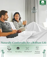 Luxury Flat Sheet Only - 600 Thread Count 100% Cotton Sateen Soft
