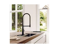 Casainc Spring Neck Standard Kitchen Faucet with Dual-Function spray head and Deck Plate