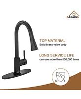 Casainc Pull Down Sprayer Kitchen Faucet with Dual-Function and Deck Plate Spot-Free