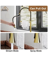 Casainc Spring Pull Down Sprayer Kitchen Faucet with Dual-Function Spray Head and Deck Plate