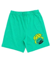 Teenage Mutant Ninja Turtles T-Shirt and French Terry Shorts Outfit Set