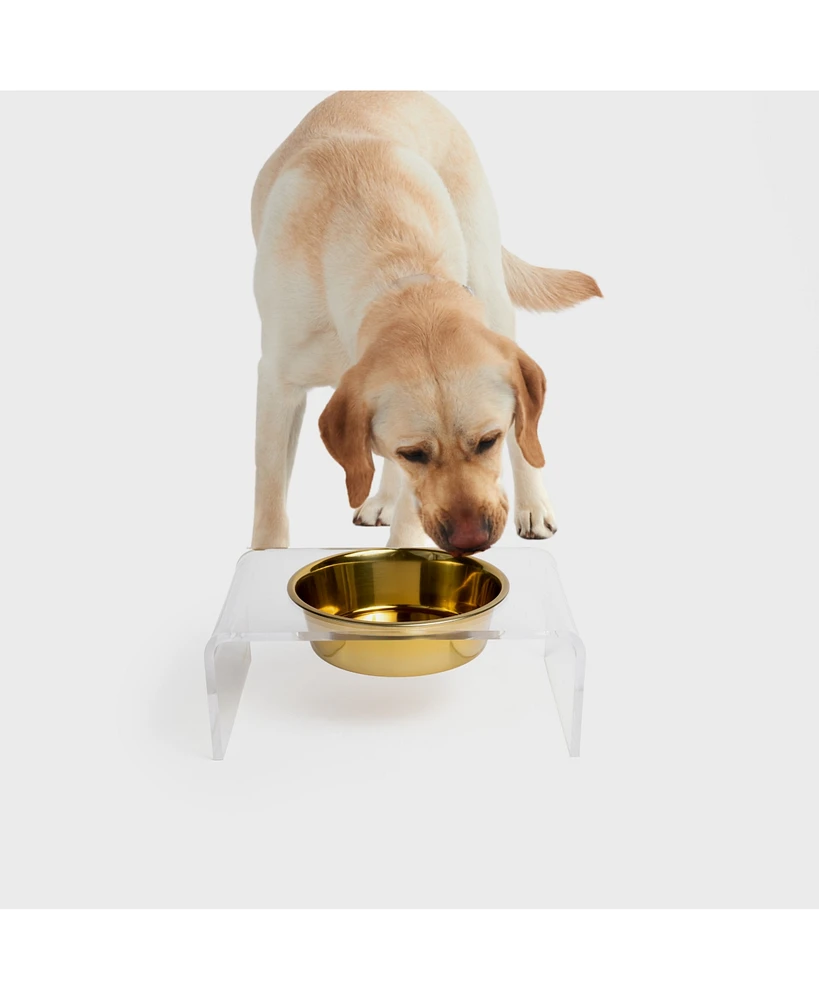 Hiddin Clear Single Dog Bowl Feeder with Gold