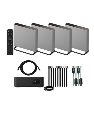 Sony Bravia Theater Quad with Cable Ties, 4K Hdmi Cables, and Cat5 Cable bundle