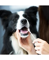 P.t. Supply Co. Eco-Friendly Pet Dental Care Kit, Toothbrush and Toothpaste Made with Sustainable Wheat Straw Material
