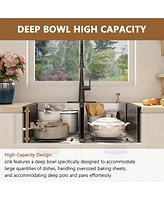 Casainc 33inch L Double Bowl Stainless Steel Drop-in Kitchen Sink