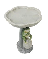 Sunnydaze Decor Brooding Frog on a Stone 22-Inch H Polyresin Bird Bath