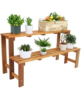 24-Inch 2-Tier Meranti Wood Outdoor Plant Stand with Teak Oil Finish