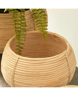 Cane Rattan Plant Baskets, Set Of 3