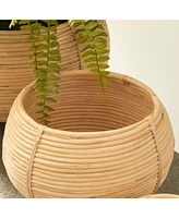 Napa Home & Garden Cane Rattan Plant Baskets, Set Of 3