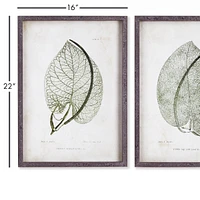 Cordate Leaf Study, Set Of 2