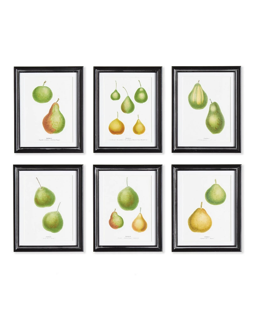 Napa Home & Garden Pear Study, Set Of 6 Wall Art