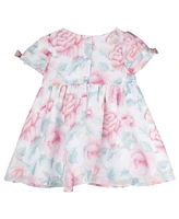 Rare Editions Baby Girl Floral Organza Dress