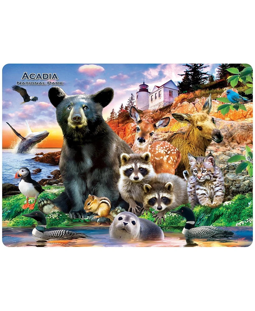 Masterpieces Acadia National Park 48 Piece Tray Puzzle