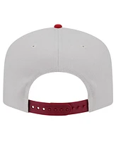 New Era Men's Stone Arizona Cardinals Decent 9FIFTY A-Frame Snapback Hat