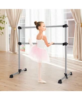 4 Feet Portable Double Freestanding Ballet Barre Dancing Stretching Black