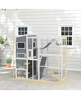 PawHut Large Catio Outdoor Cat Enclosure for 2-3 Cats 76" x 36" x 68"