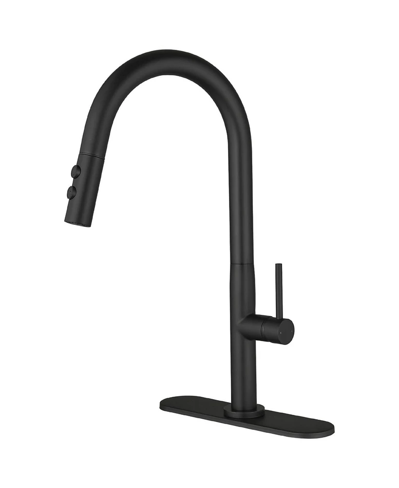 Single Handle Pull Down Sprayer Kitchen Faucet