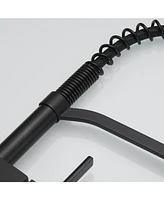 Single-Handle Pull-Down Sprayer Spray High Arc Kitchen Faucet