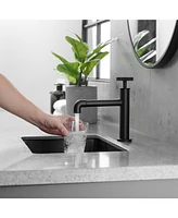 Industry Style Single Handle Single Hole Bathroom Faucet in Matte Black