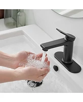 Single Hole Single-Handle Bathroom Faucet in Matte Black