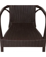 Segesta All-Weather Faux Wicker Plastic Dining Chair