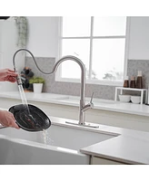 Single Handle Pull Down Sprayer Kitchen Faucet