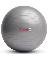 Sunny Health & Fitness Premium Yoga Ball Small 55CM Anti-Burst Exercise Ball for Workouts, Pregnancy, Physical Therapy, Stability Ball Chair Fitness,