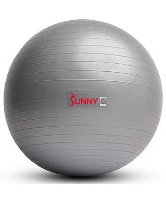 Sunny Health Fitness Premium Yoga Ball Small 55cm Anti Burst Exercise Ball For Workouts Pregnancy Physical Therapy Stability Ball Chair Fitness Extra Thick Yoga Ball With Pump Sf Eb02 S