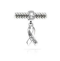 Bling Jewelry Breast Cancer Survivor Hope Dangle Charm Bead - Sterling Silver Symbolic Jewelry