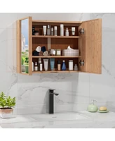 Double Door Bathroom Wall Cabinet with Mirror and Adjustable Shelves