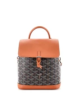 Pre-Owned Goyard Mini Alpin Backpack Coated Canvas