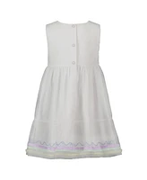 Blueberi Boulevard Toddler and Little Girls Multicolor Embroidered Tulle Dress