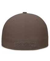 Nike Men's Brown Arizona Diamondbacks Statement Ironstone Performance True Fitted Hat