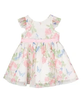 Rare Editions Baby Girls Floral Mesh Social Dress