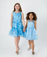 Rare Editions Toddler and Little Girls Floral Organza Social Dress