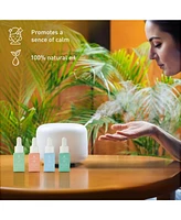Eco-Friendly Laundry & Wellness Bundle