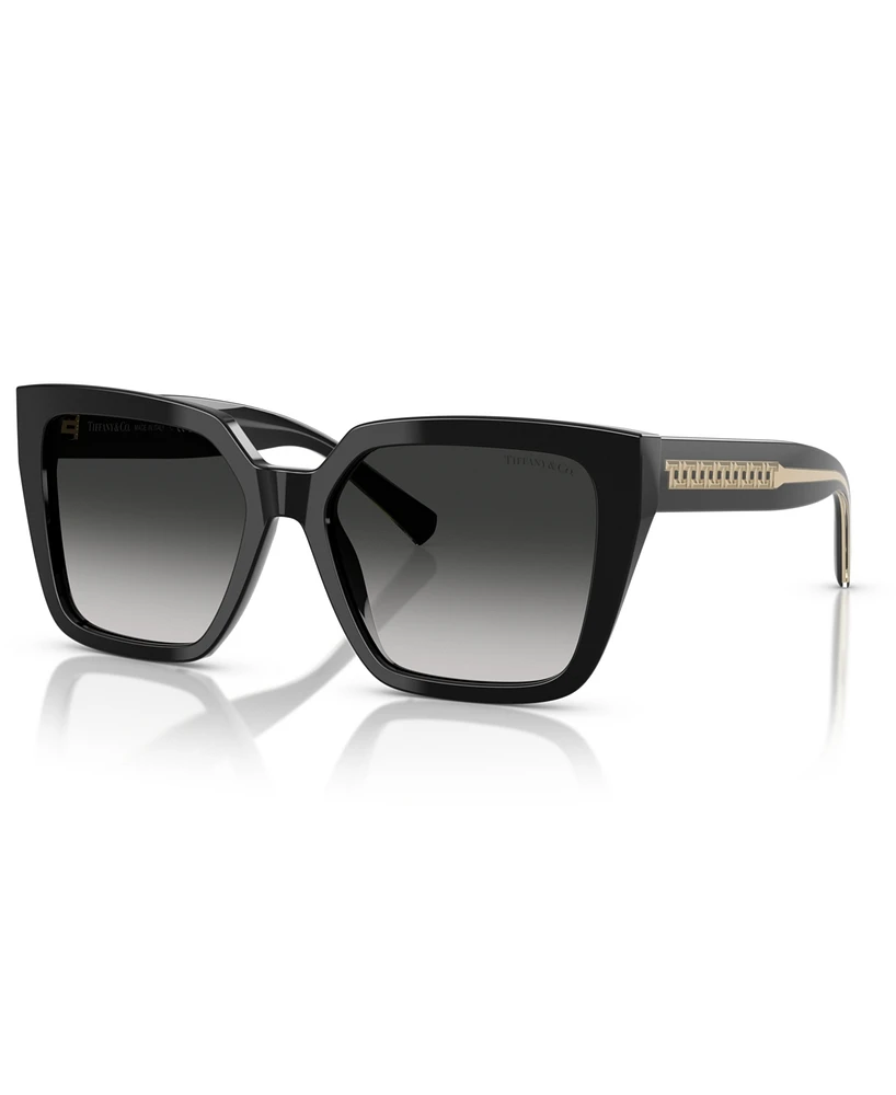 Tiffany & Co. Women's Large Sunglasses