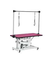 42.5INCH Hydraulic Pet Grooming Table With "H" Arm