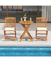 Outdoor Folding Chairs with Seat Cushions for Comfortable Patio Seating (Set of 2)