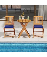 Outdoor Folding Chairs with Seat Cushions for Comfortable Patio Seating (Set of 2)